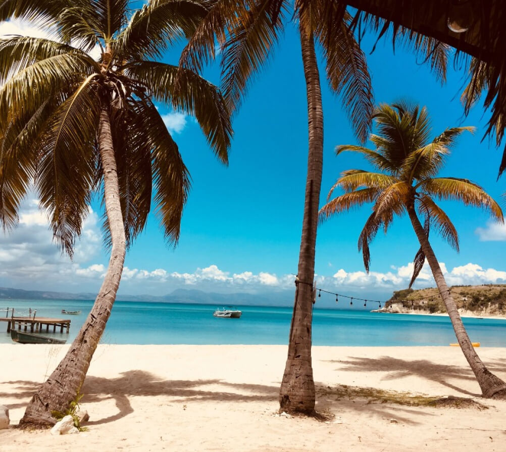 Covercar au coeur de la martinique