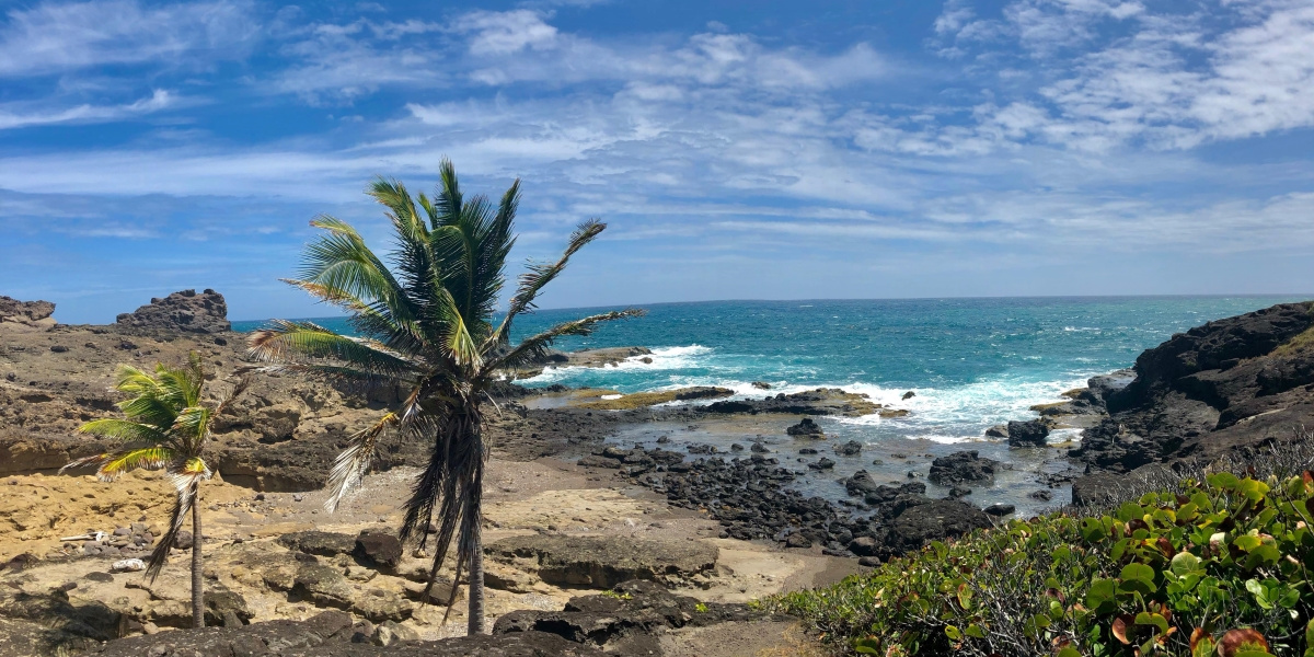 Presqu'île de la Caravelle