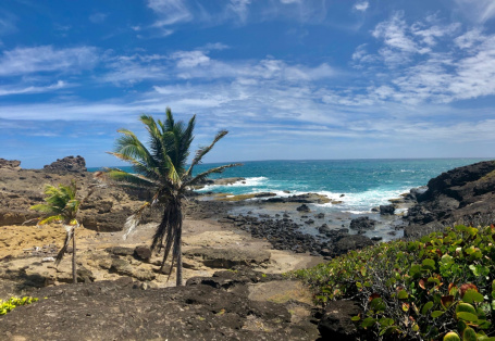 Presqu'île de la Caravelle